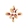 014-Pistachio - Image 2